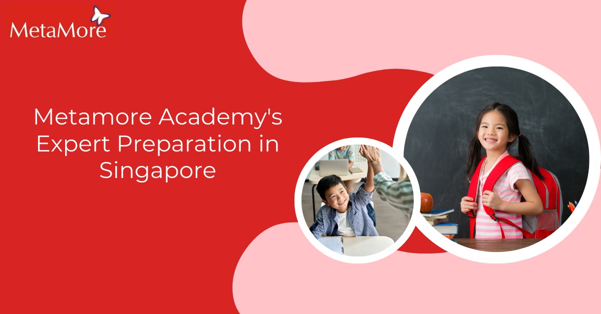 IB MYP Exam Success: Metamore Academy's Expert Preparation in Singapore