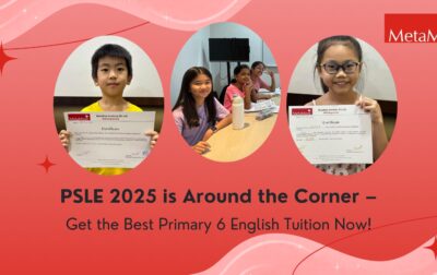 Primary 6 English Tuition